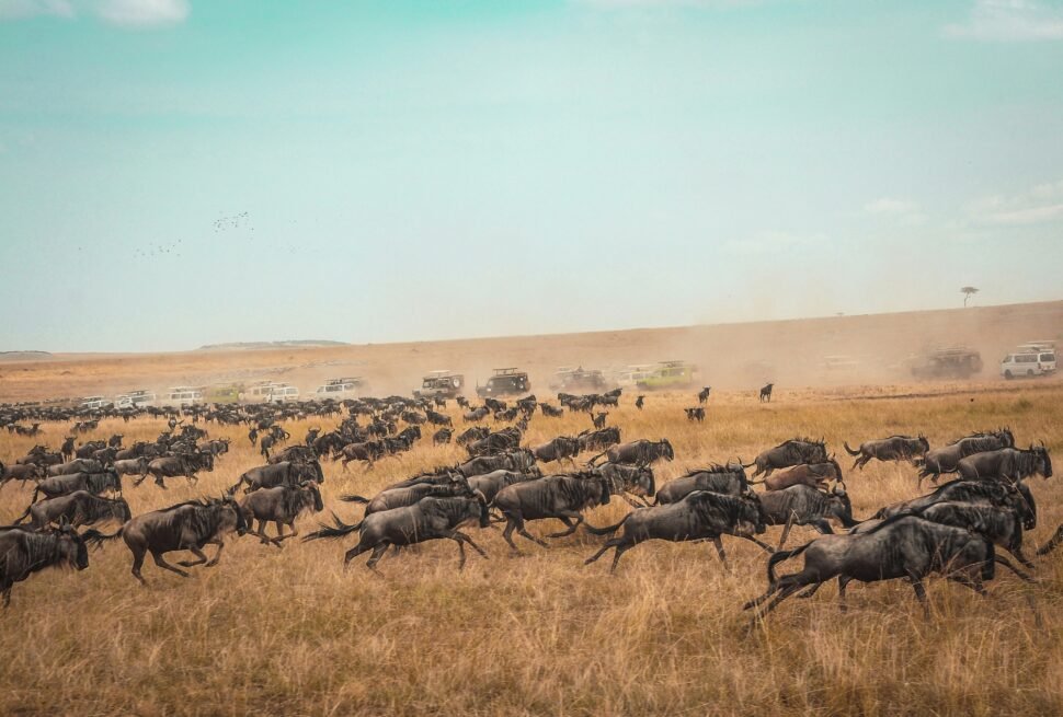 Great Migration