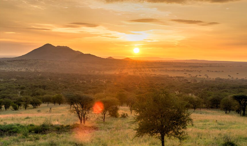 Top 7 Destinations in Tanzania That Will Make Your Safari Truly Memorable