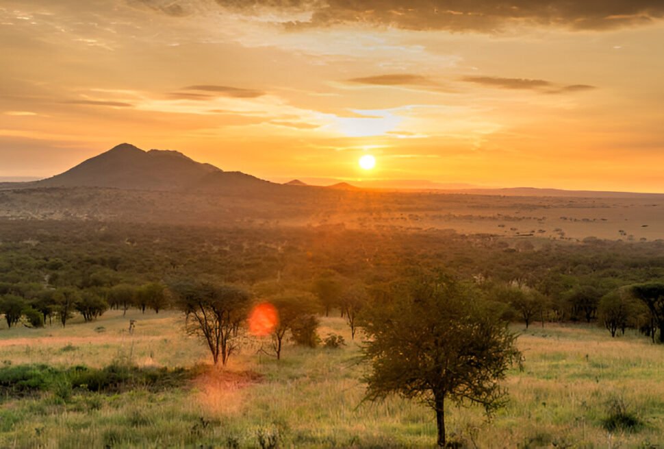 Tanzania Safari destination: Serengeti sunset.