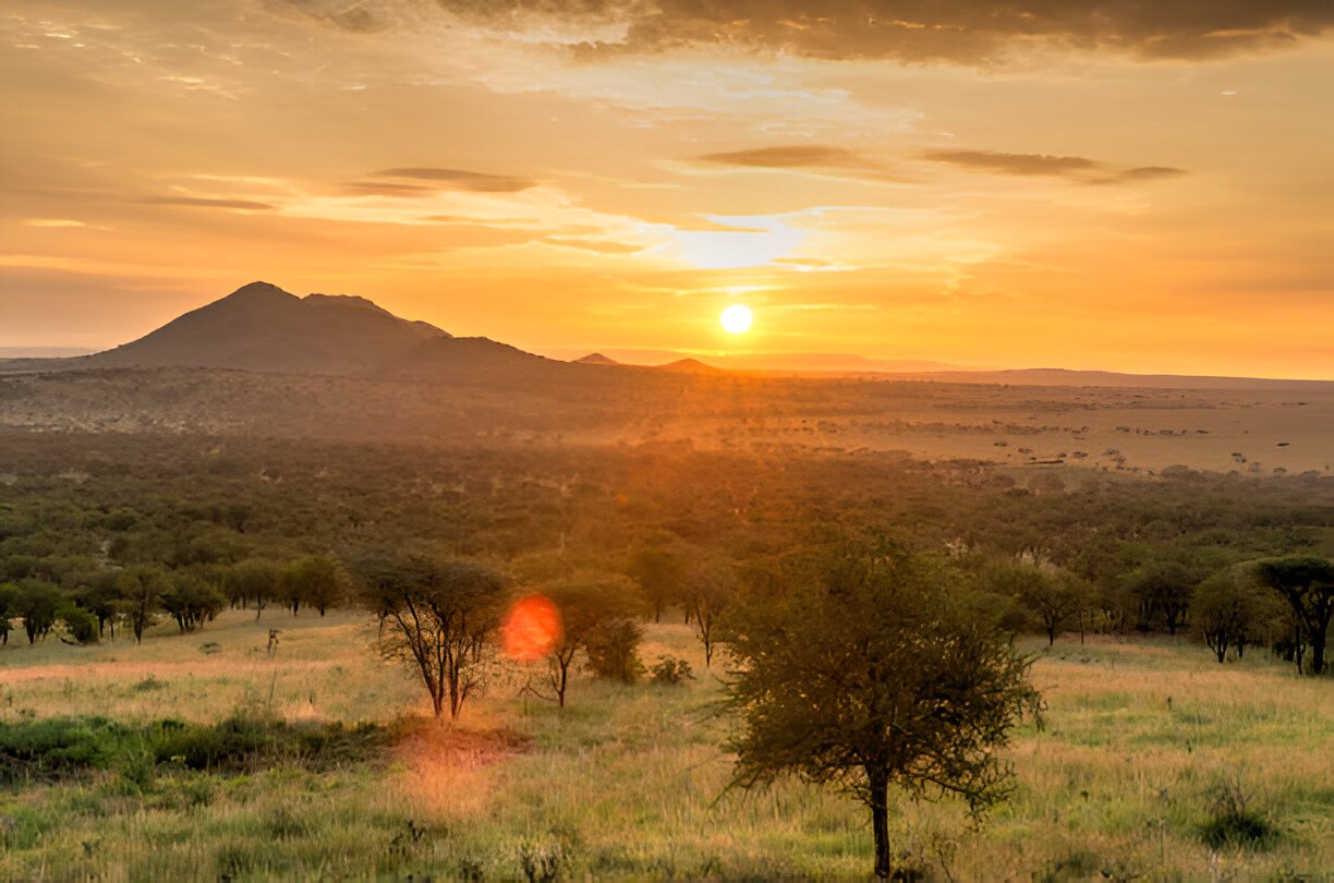 Tanzania Safari destination: Serengeti sunset.