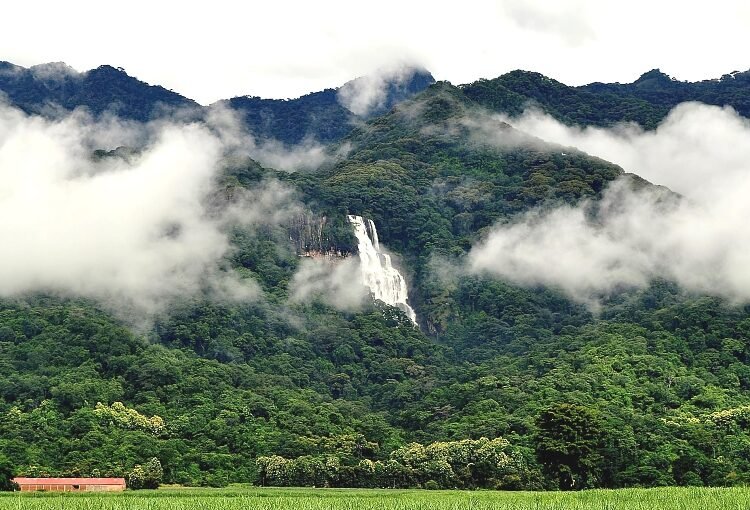 Lesser Known Parks you Should Visit in Tanzania: Hidden Gems