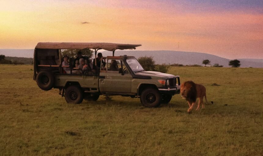 Why Private Safaris in Tanzania Offer a Unique Experience