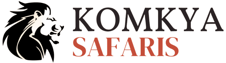 high-resolution-color-logo (1)-2